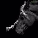 утешение сердца🩶