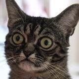 Переходник МДД