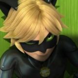 Коробка для обсуждения жызни меня любимой