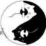 36 стратагем для достижения целей