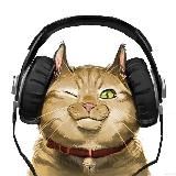 Ушастики - Пушистики | Котики