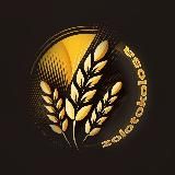 СЕЛЕКЦИЯ 7.0: От собирательства до цифровых технологий