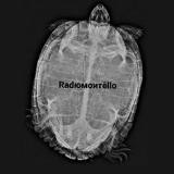 ℝ𝕒𝕕𝕚𝕠 𝕄𝕠𝕟𝕥𝕖𝕝𝕝𝕠🎙