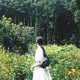 lusie