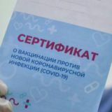 Инфо канал мед помощь