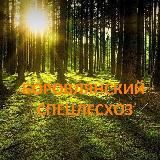 Боровлянский спецлесхоз Официально