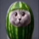 41 пост по Метеоре