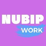 NUBIP WORK