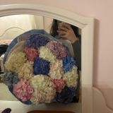 Diya’s diary ✨🤍