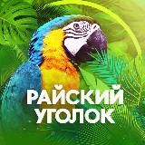 Инвестируем💲