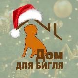 ДОМ ДЛЯ БИГЛЯ