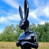 🐇 not just rabbits/кролики и не только🐰