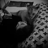 𝑀𝑖𝑠𝑠.𝐼.𝟕𝟕