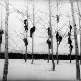 Новые дворники, сторожа и кочегары {Лиза Хереш}