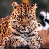 Playlist of the Day✨🪐🩷