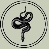 Чат - ОБУЧЕНИЯ|black snake