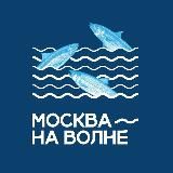 Новоухтомская студия