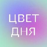 Цвет дня