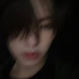 Кошак потерянный.