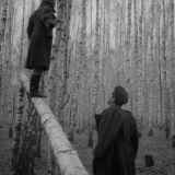 третий полюс