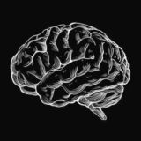 Психотропик из ТТ