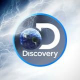 Discovery