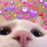 Пикчи для любви и секса 🥰