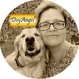 DogAngel Золотистые ретриверы