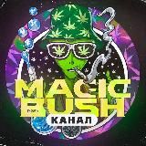 Magic Bush канал НЕ