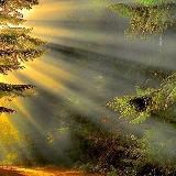 Судьбоносность