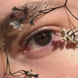 🌺you flowers 🌺