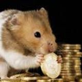 СЛЁЗЫ ХОМЯКА_Chat