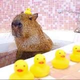 speed up ; nightcore music