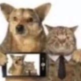 Госдум chat