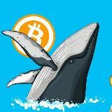 Китовый Движ 🐋