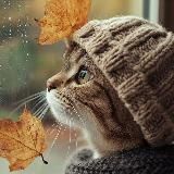 Rubix Q 777 🙏 Soldier Up 🪖 NCSWIC 💥💥💥 I AM Sovereign ✨🕊️🐸