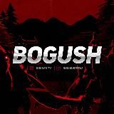 Bogush