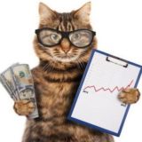 💲 Молодой Миллионер💲