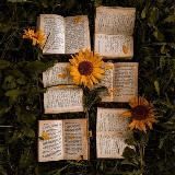 Аудиокниги к