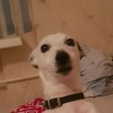 ИК Chat | Изнанка Косплея