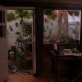 не хочу умирать