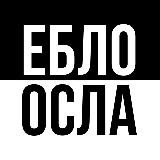 ебло осла