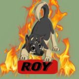 Чат общения