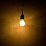 Жизнь в рассеянном свете