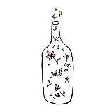 Чабрец. Цветы в Воронеже