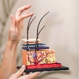 Литература для Косметологов