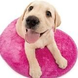 MILLIONS MUST HAVE FUN