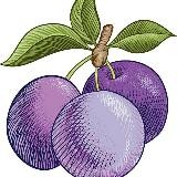 Сливы из сада 18+ 💜