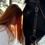 <<The_ horse_world>>