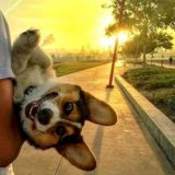 Обсуждение